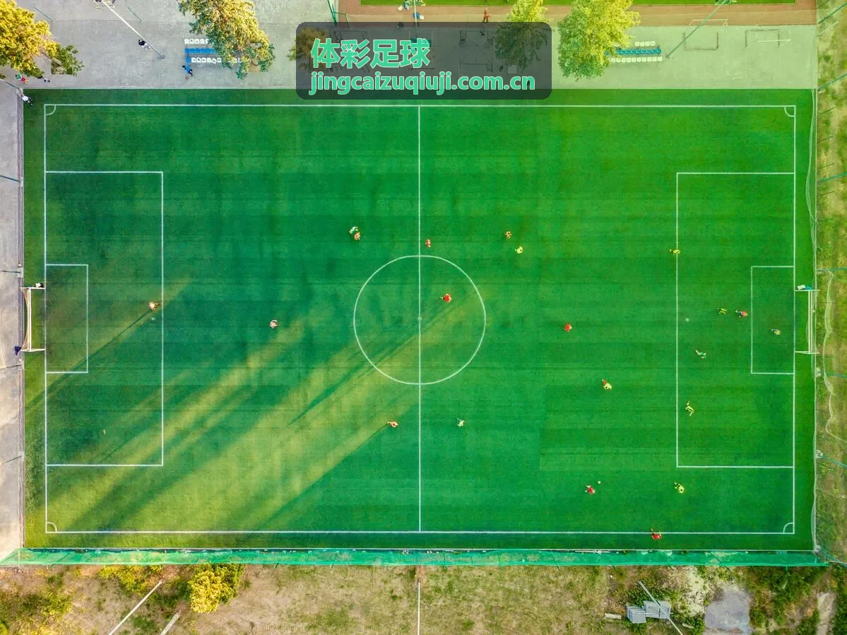 体彩足球数据分析